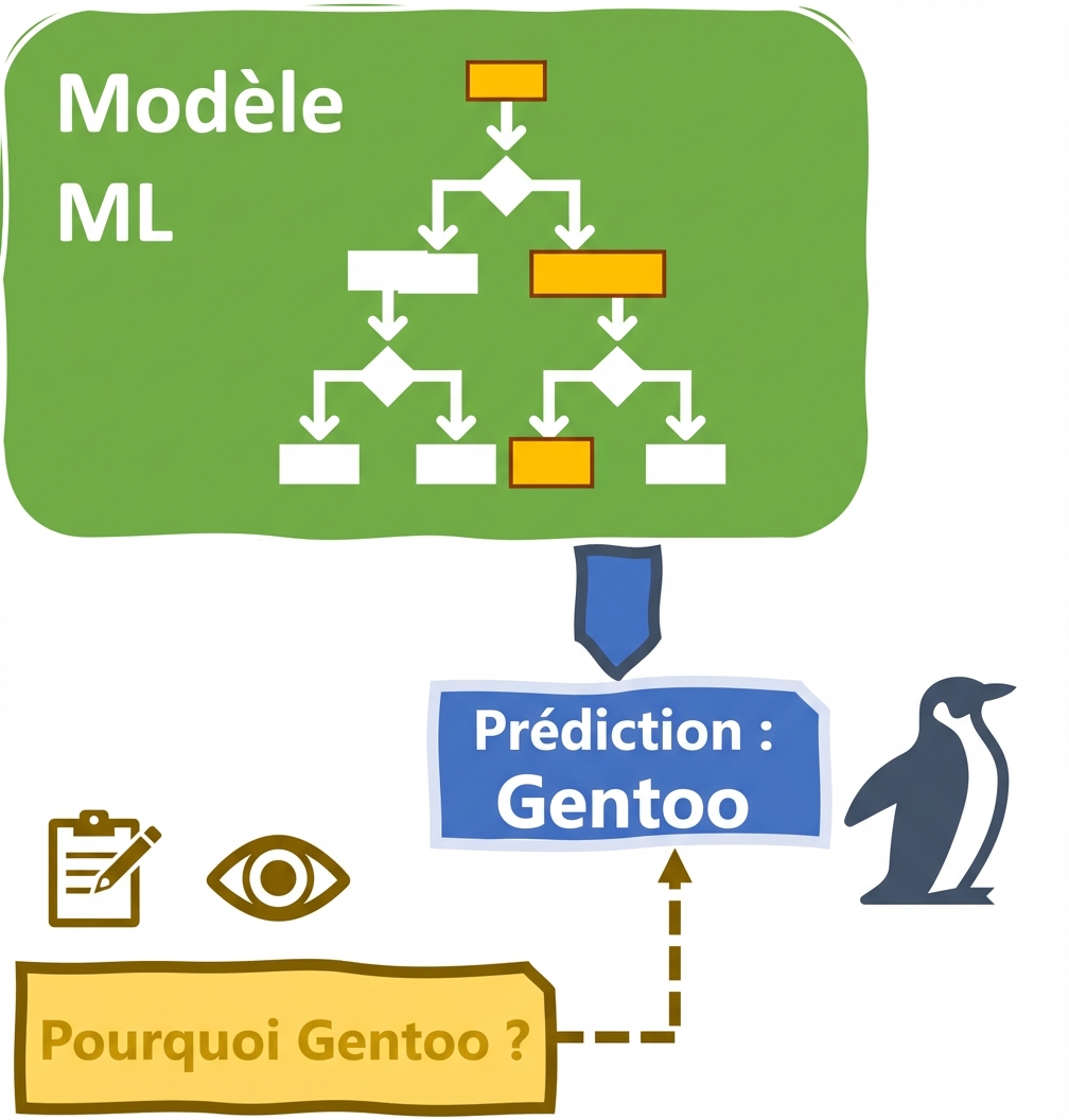 Explicabilité et interprétabilité