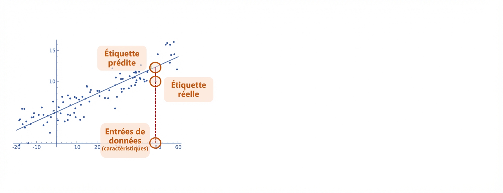 Régression linéaire comme modèle de boîte blanche