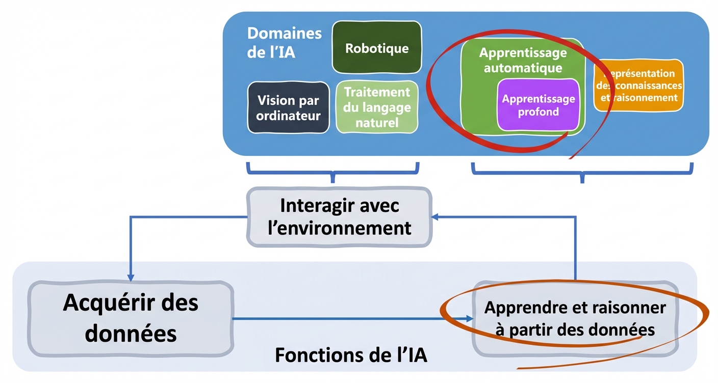 Domaines et fonctions de l'IA
