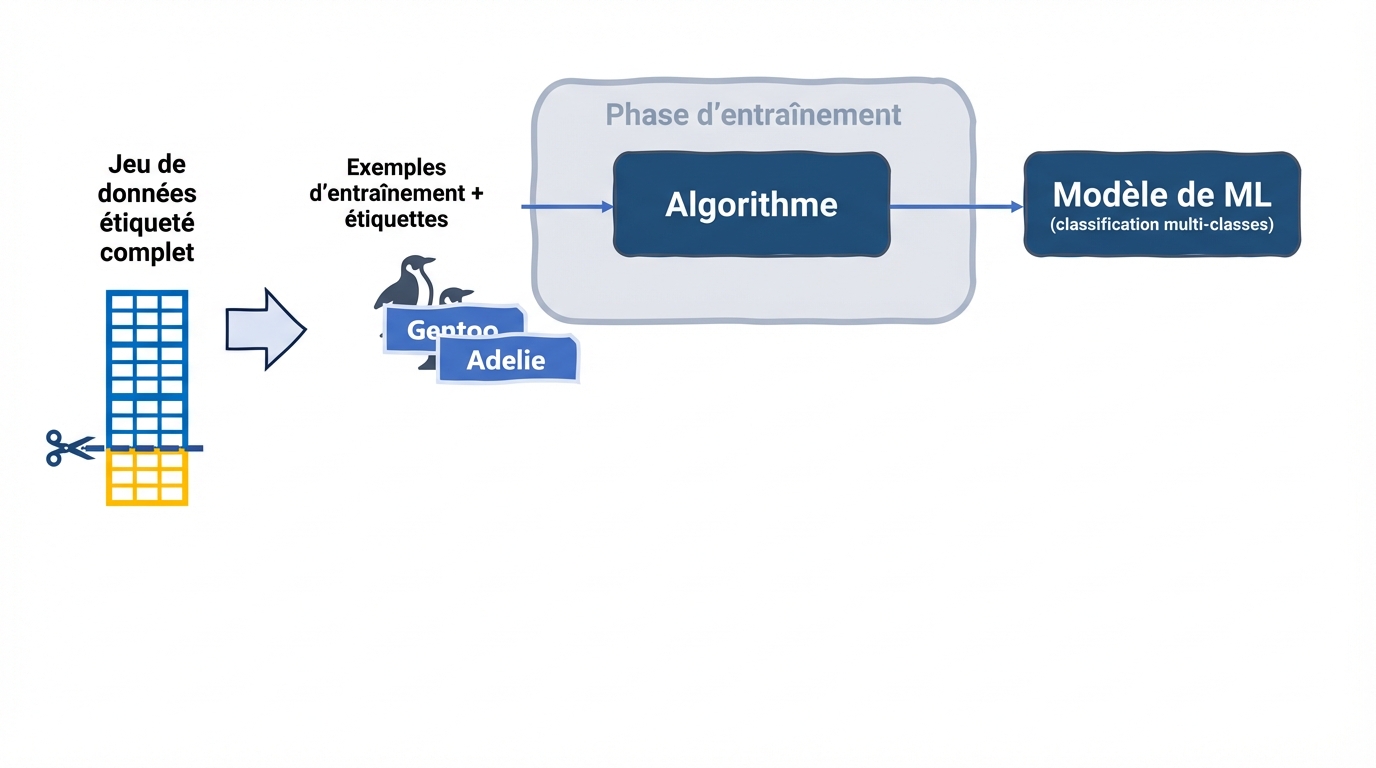 Entraînement d'un modèle