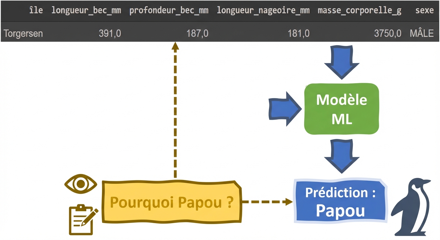 Explicabilité dans un outil de classification de manchots par ML