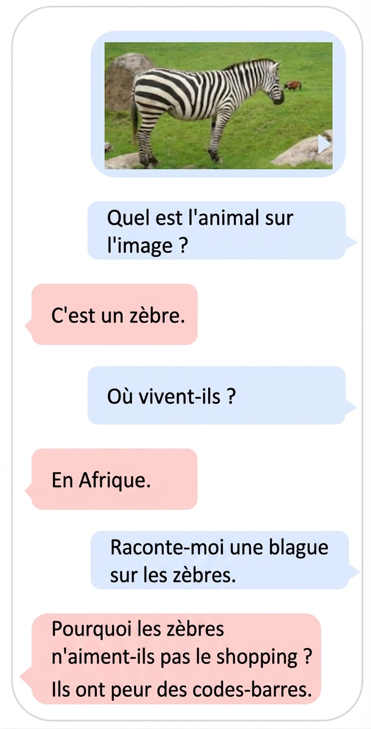 Exemple multimodal d'un LLM utilisant des données textuelles et imagées
