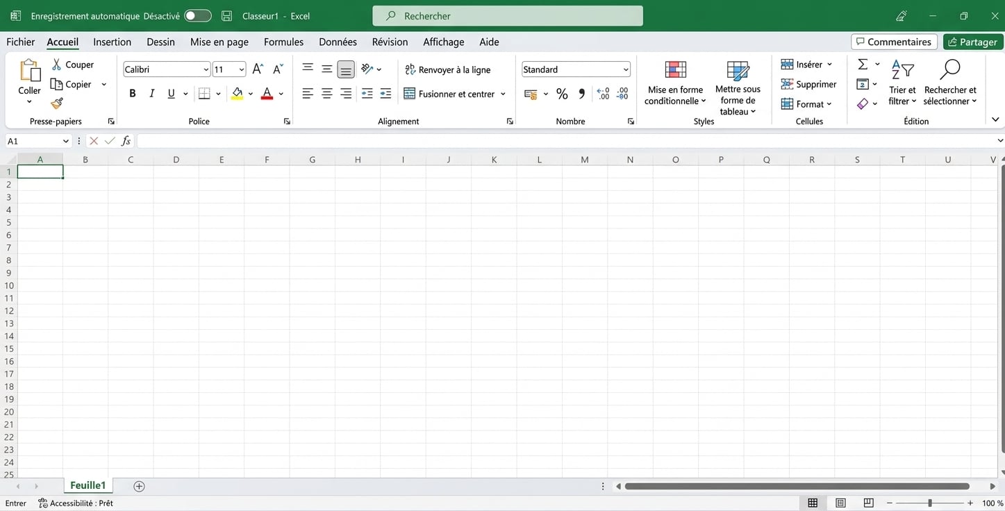 Capture d'écran d'un fichier Excel