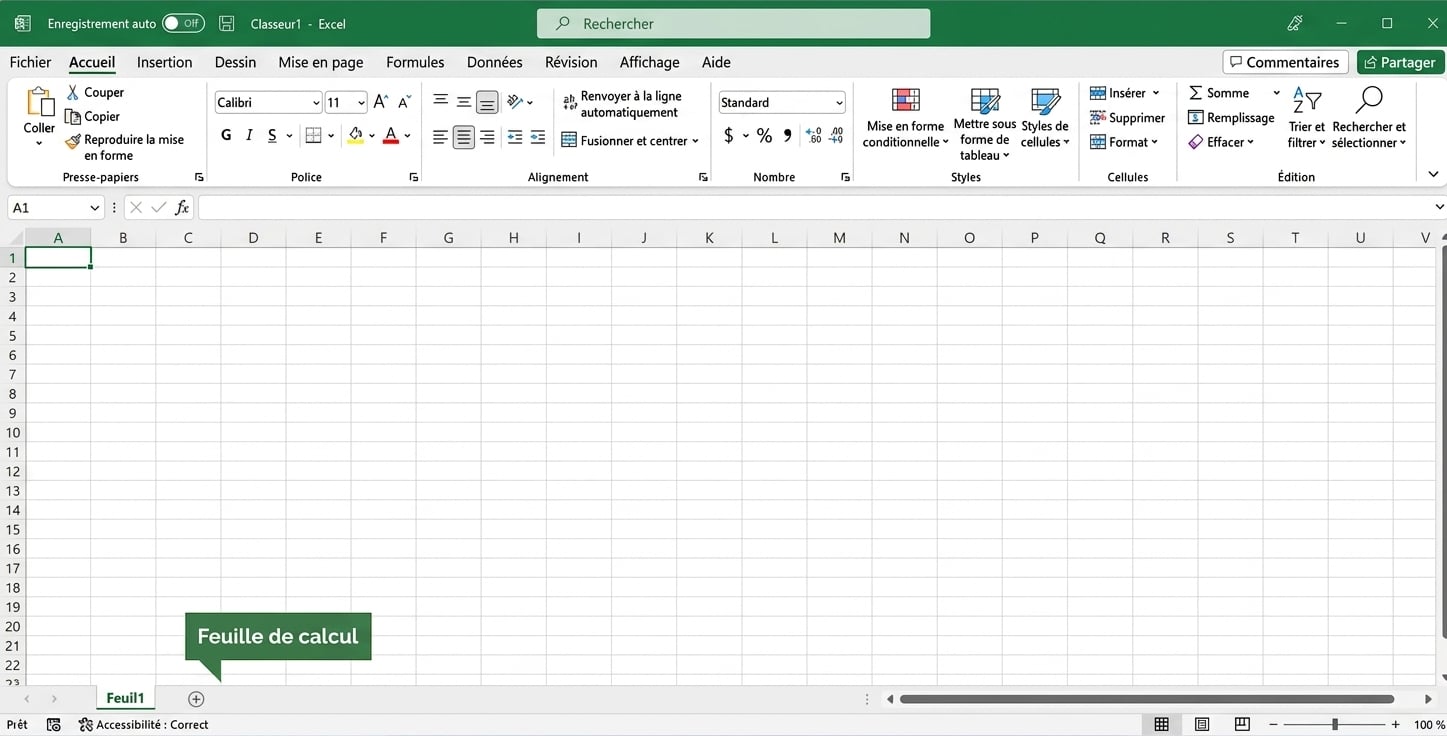 Fichier Excel mettant en évidence la zone de la feuille de calcul