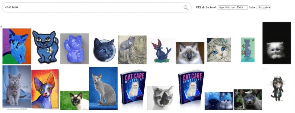 Série d'images de chats provenant d'un grand ensemble d'images