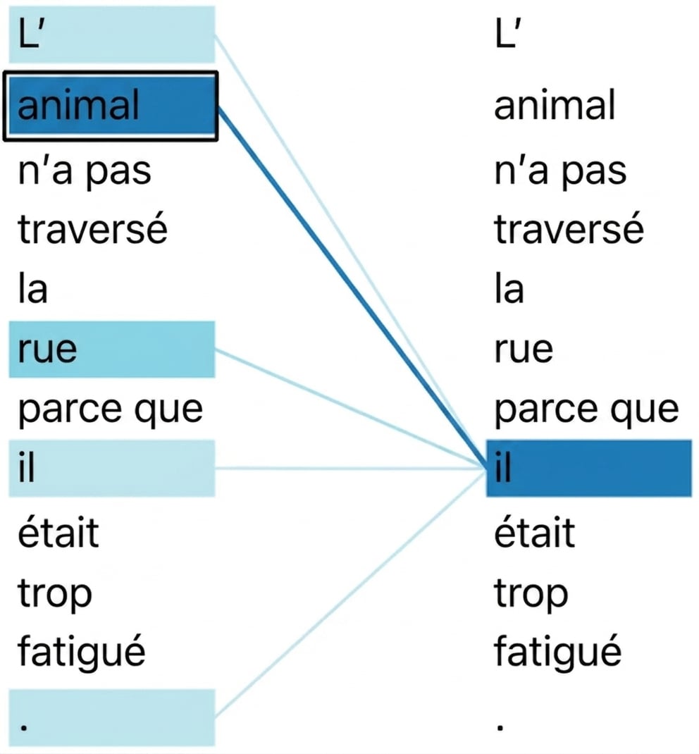 La phrase « L'animal n'a pas traversé le chemin parce qu'il était trop fatigué. » Les mots « il » et « animal » sont surlignés.