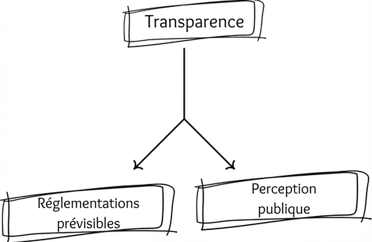 A flowchart illustrating the benefits brought by embracing transparency.