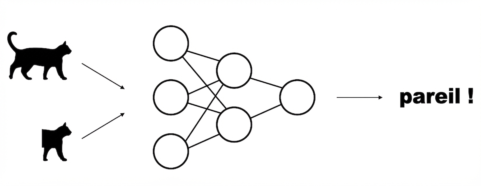 Schéma d’un modèle qui prend deux versions augmentées de la même image en entrée et apprend qu’elles sont identiques.