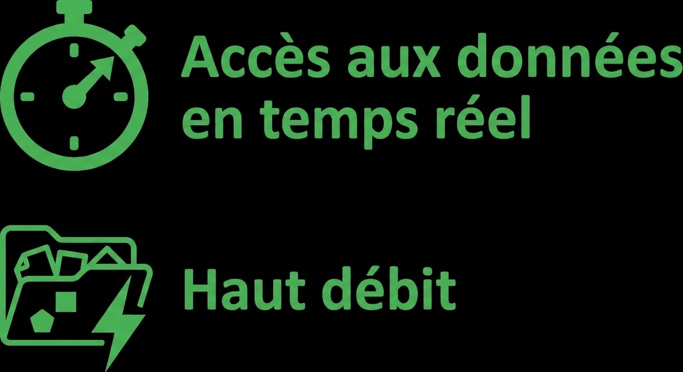 Deux icônes indiquant l’accès en temps réel et le haut débit.