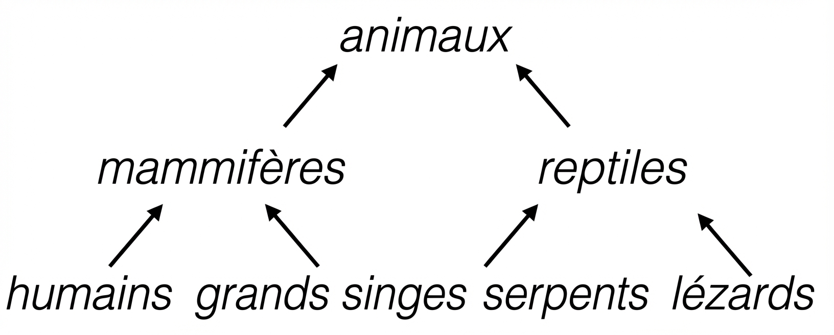 Hierarchical tree of animals