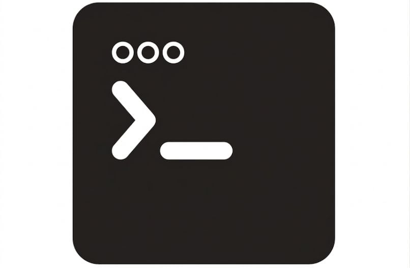 Terminal de codage