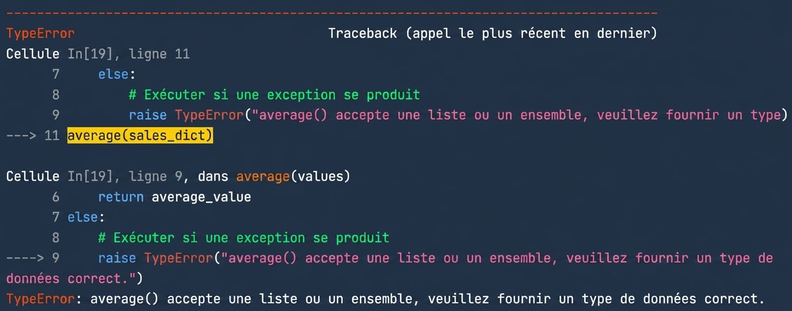 TypeError output showing the custom message to provide the correct data type