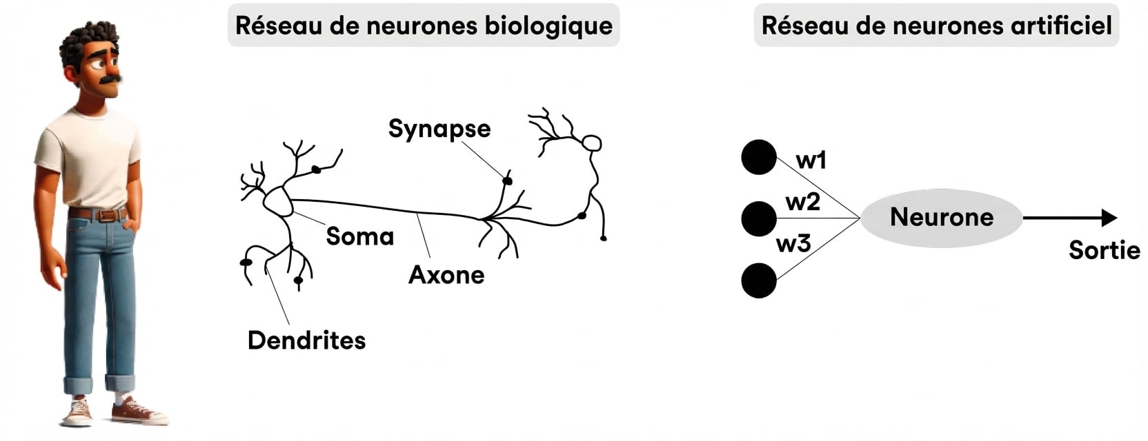 Une illustration montre un homme debout regardant vers une forme ovale, représentant un neurone.