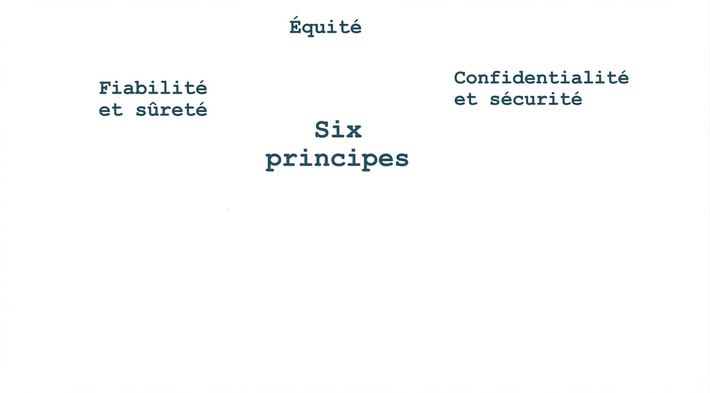 Un texte intitulé « six principes », entouré des termes désignant ces principes : équité, confidentialité et sécurité, fiabilité et sûreté.