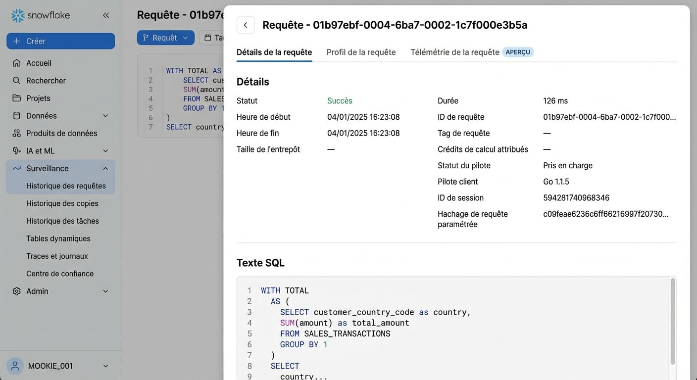 GIF of viewing query details