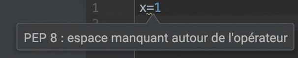 PEP 8 avec PyCharm