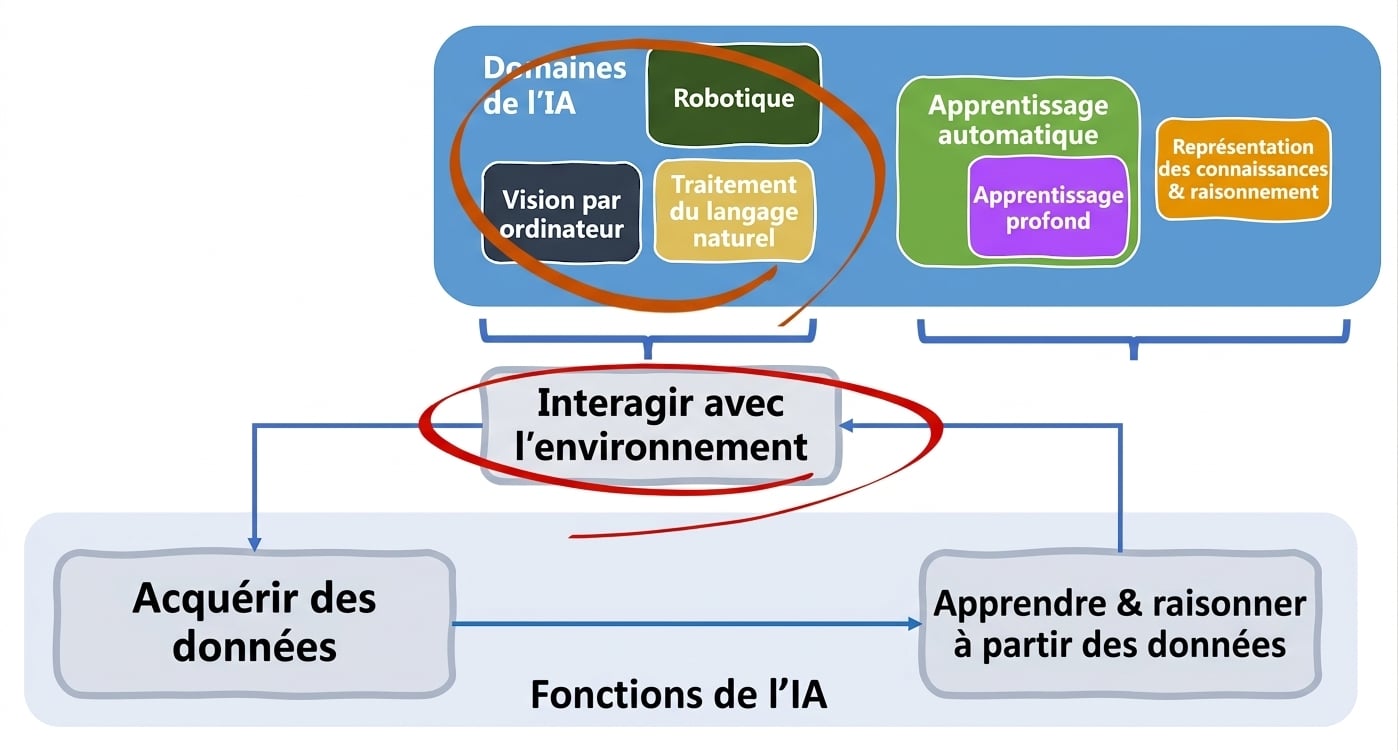 Fonctions de l'IA et domaines concernés