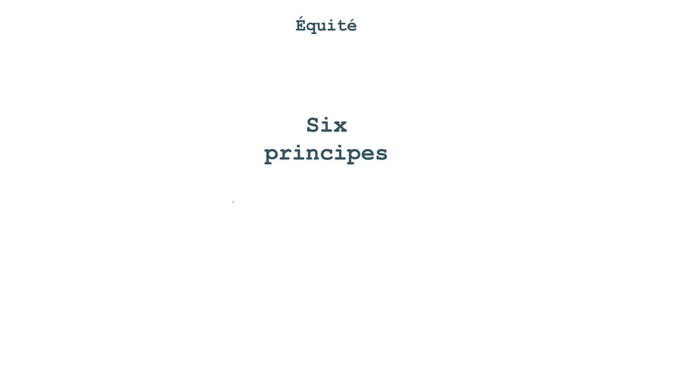 Un texte indiquant \"six principes\", entouré des termes représentant ces principes : équité
