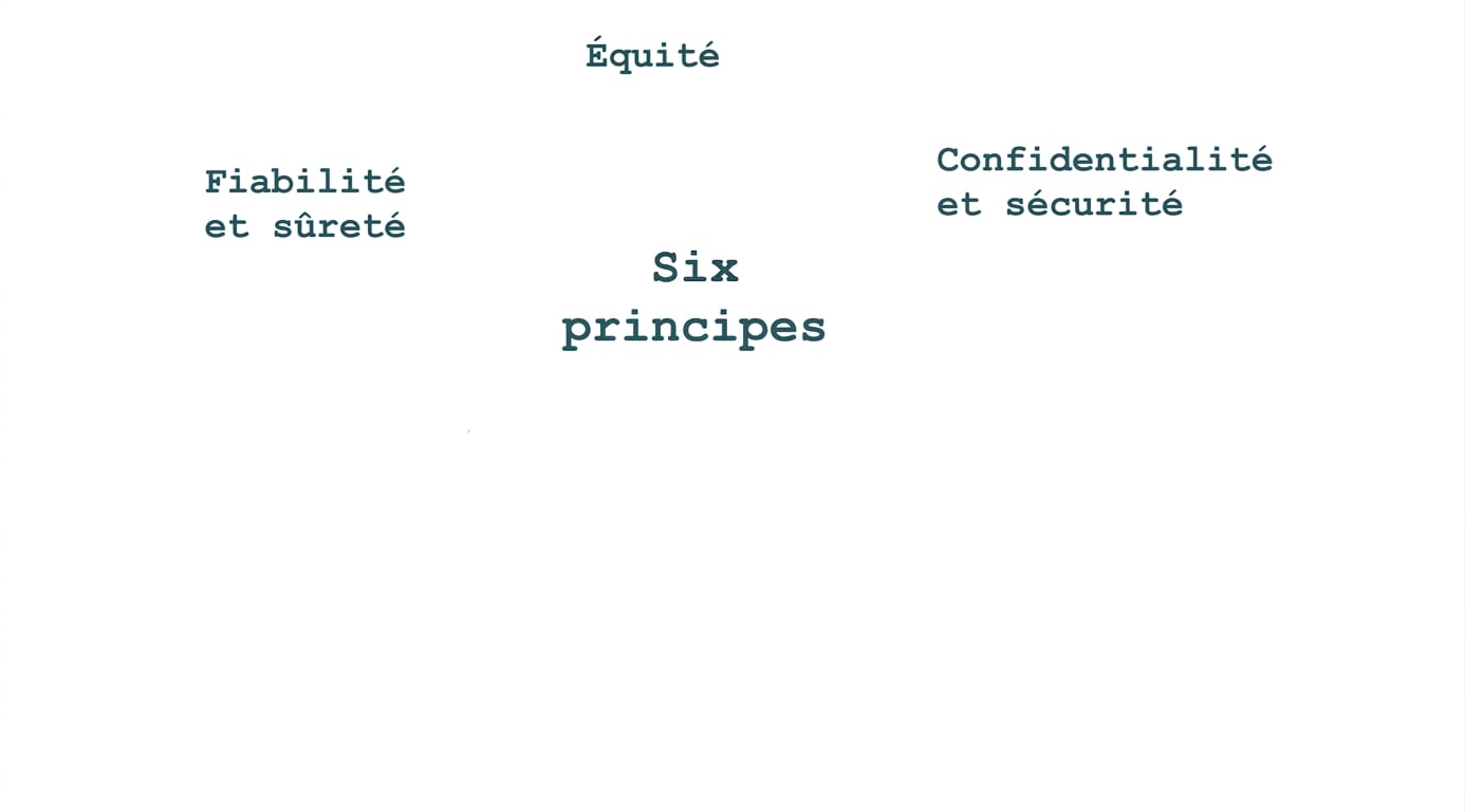 Un texte indiquant \"six principes\", entouré des termes représentant ces principes : équité, confidentialité et sécurité, fiabilité et sécurité