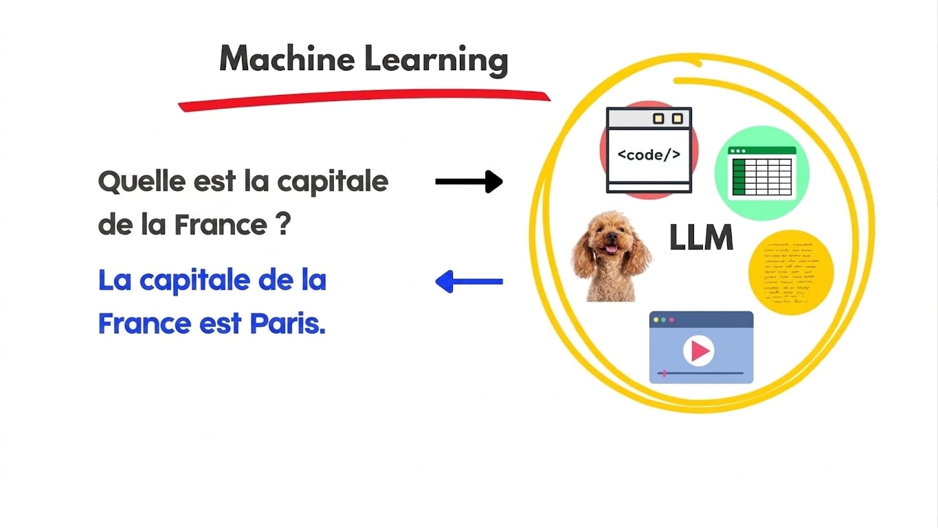 llms8.jpg