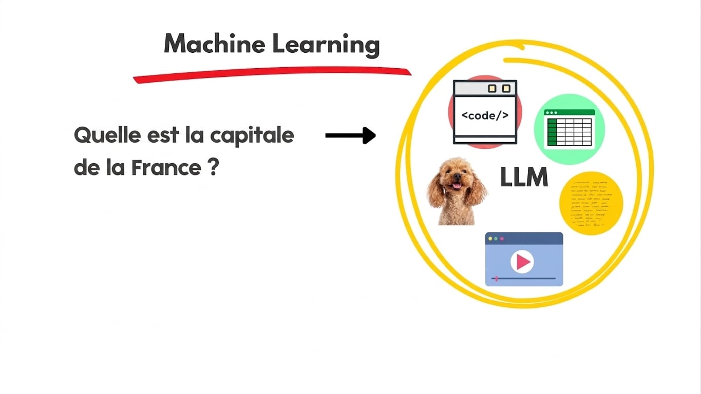 llms7.jpg