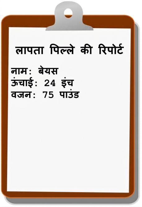 लापता पपी की रिपोर्ट