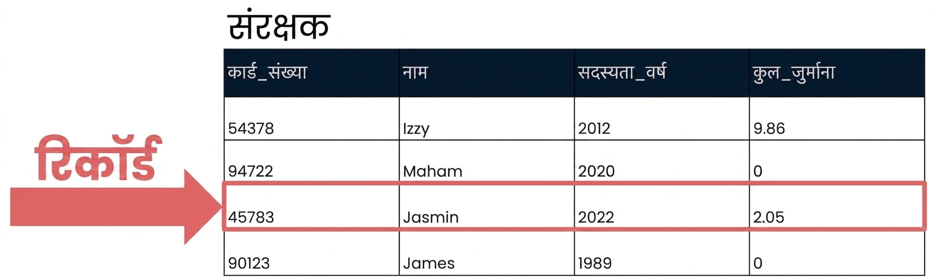 एक single record हाइलाइट किया हुआ patrons टेबल
