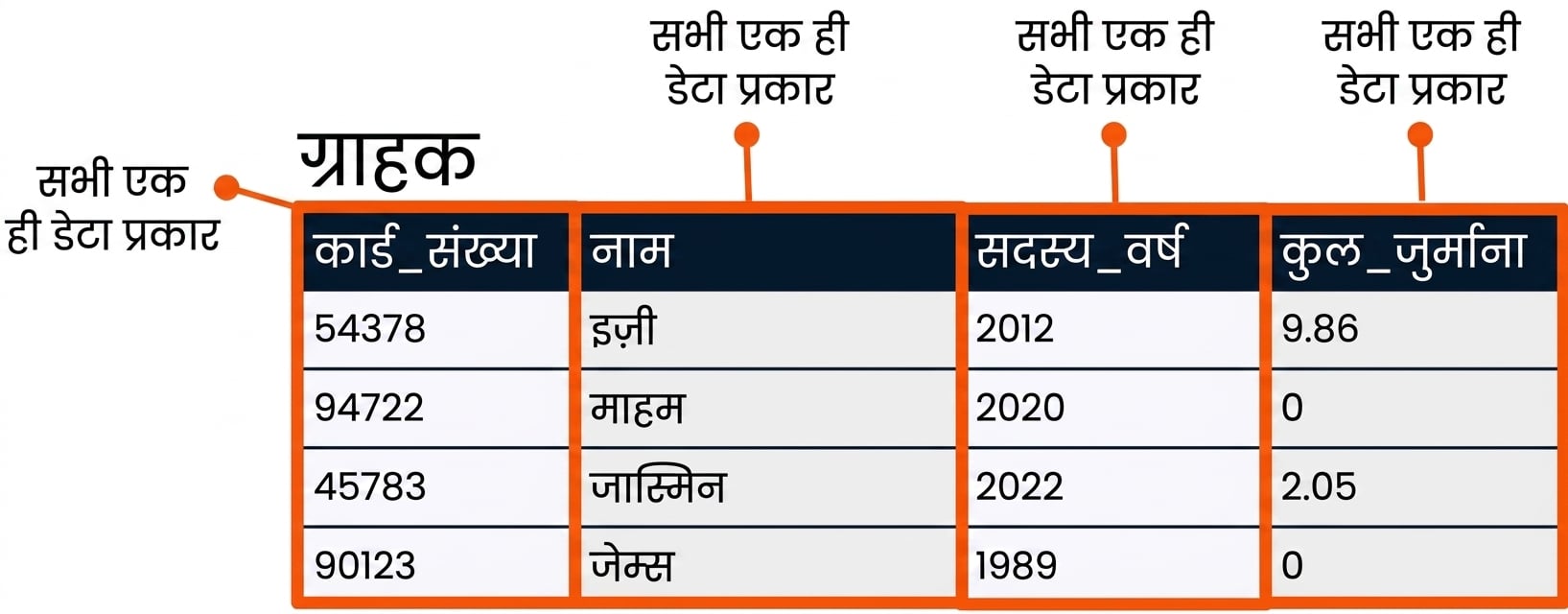patrons टेबल, जिसमें हर फ़ील्ड को उसके डेटा टाइप के रूप में दिखाया गया है