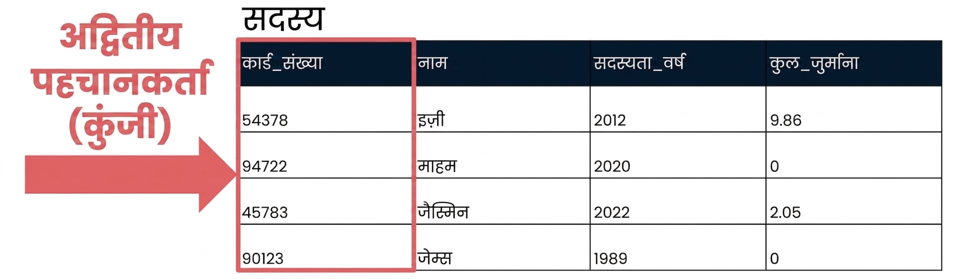 id field को unique identifier दिखाता patrons टेबल