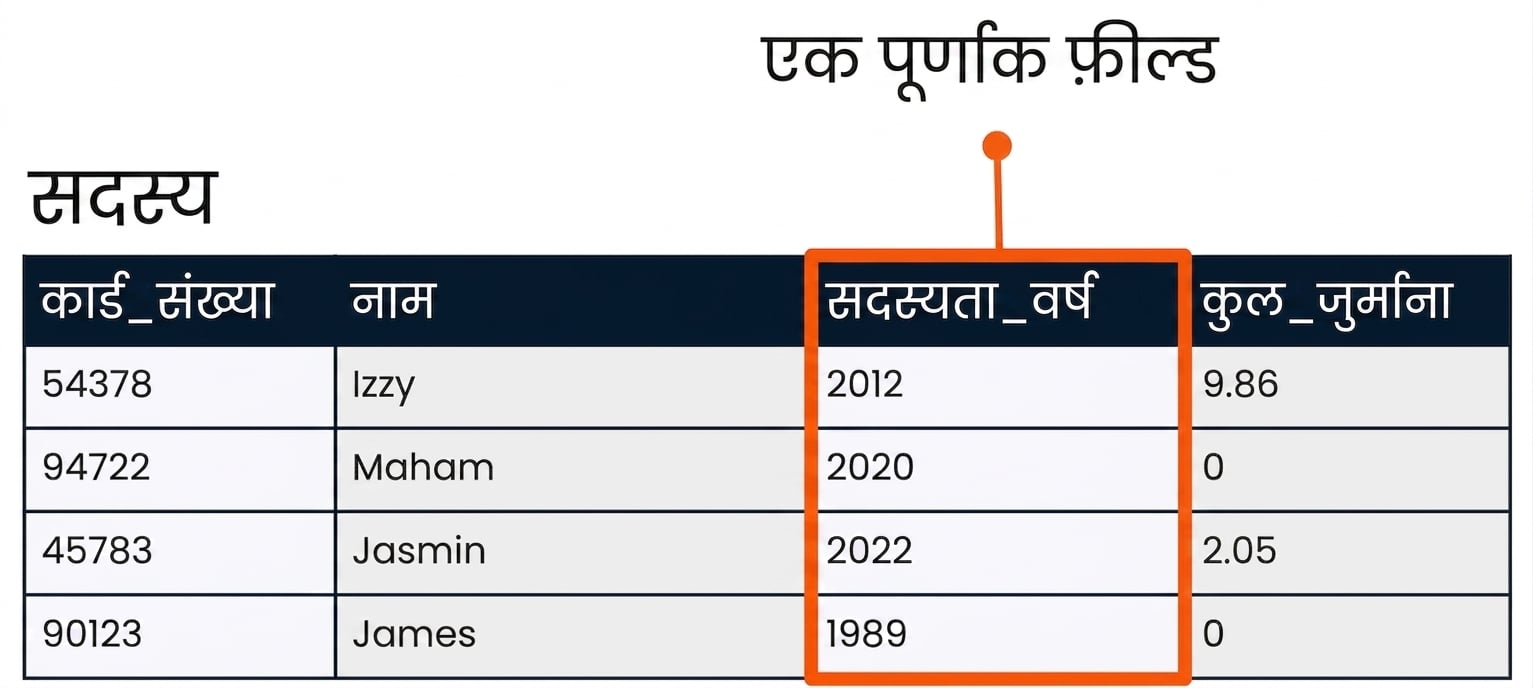 patrons टेबल, जहाँ member_year फ़ील्ड को integer फ़ील्ड के उदाहरण के रूप में हाइलाइट किया गया है