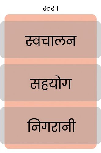 लेवल 1 परिपक्वता