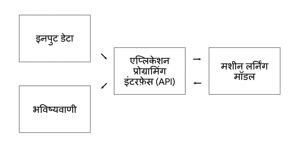 Application programming interface excluding information
