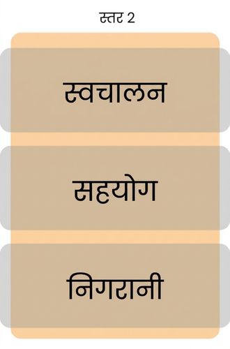 लेवल 2 परिपक्वता