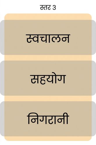 लेवल 3 परिपक्वता
