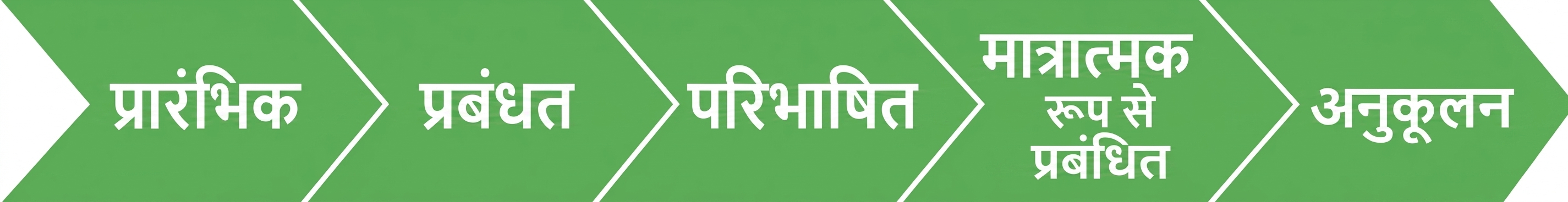 IBM डेटा परिपक्वता मॉडल