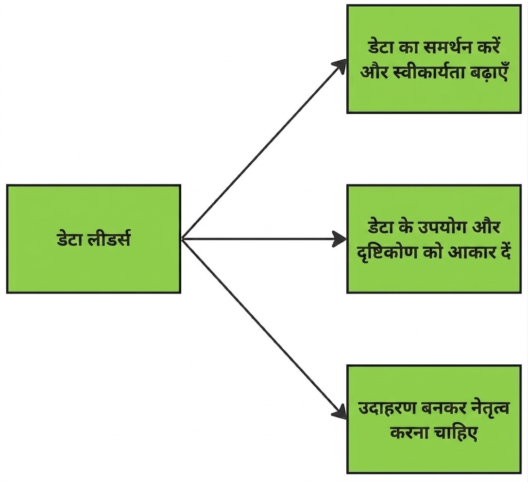 डेटा लीडर्स की जिम्मेदारियाँ दिखाता आरेख.