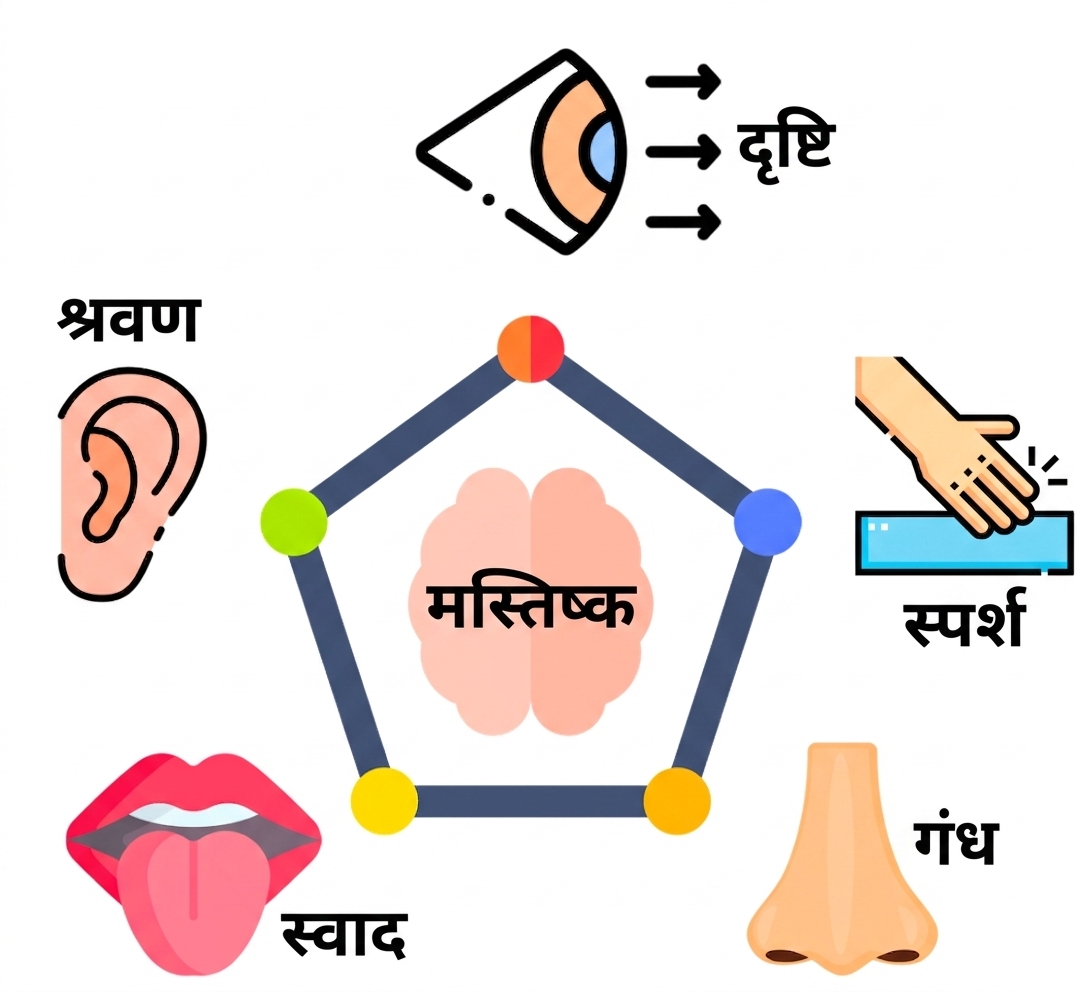 पर्यावरण को संवेदित करना