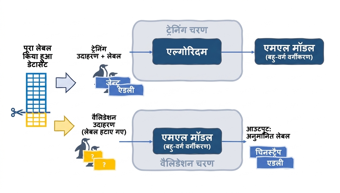 टेस्ट उदाहरणों से मॉडल वैलिडेट करना