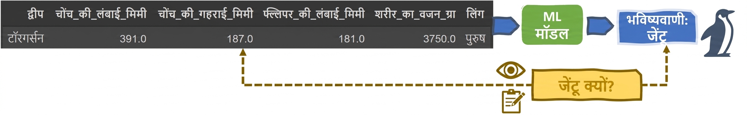 ML पेंगुइन क्लासिफायर में Explainability