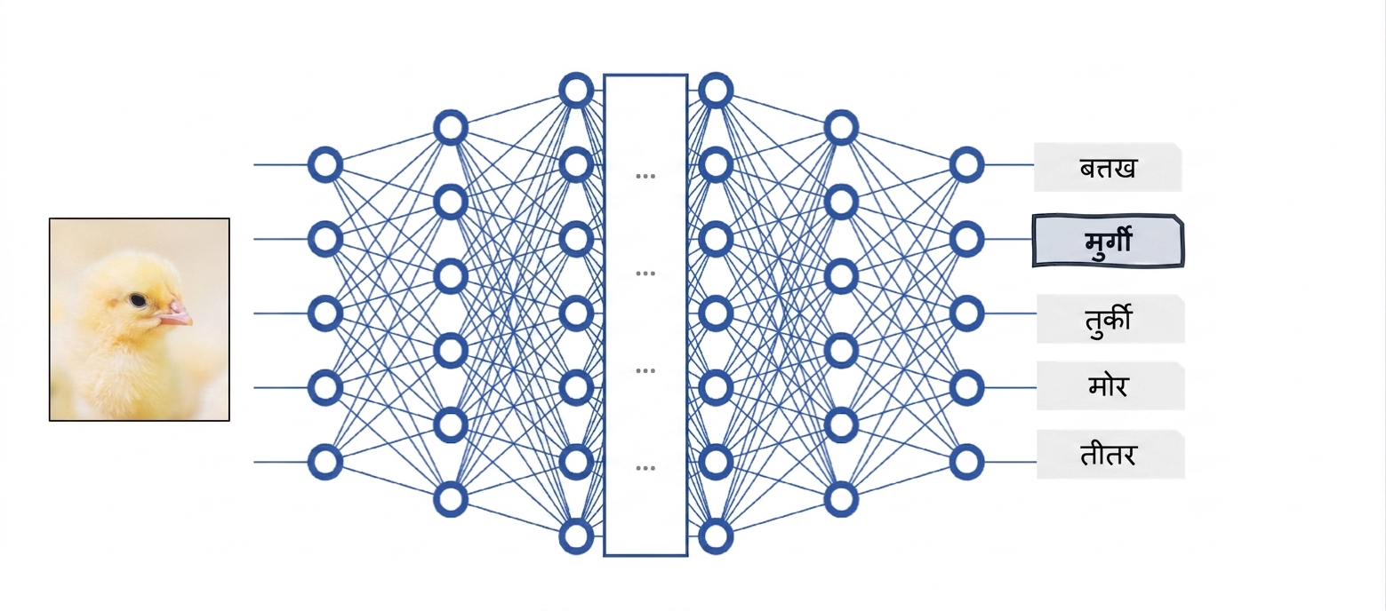Black-box मॉडल के रूप में Deep neural network