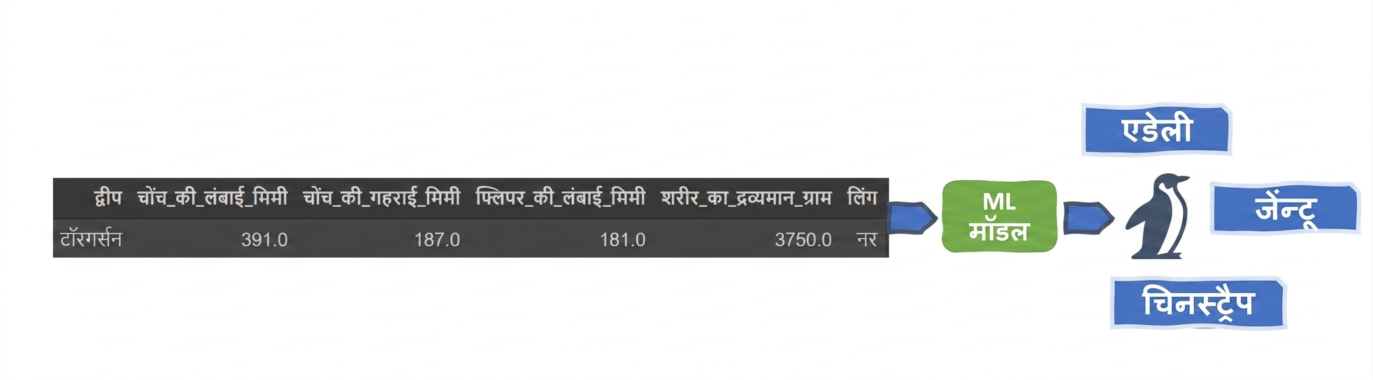 मल्टी-क्लास क्लासिफिकेशन