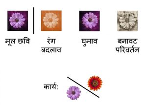 Image of a flower transformed in three ways: using rotation, color shift, and texture change.