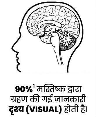 एक मानव मस्तिष्क की तस्वीर