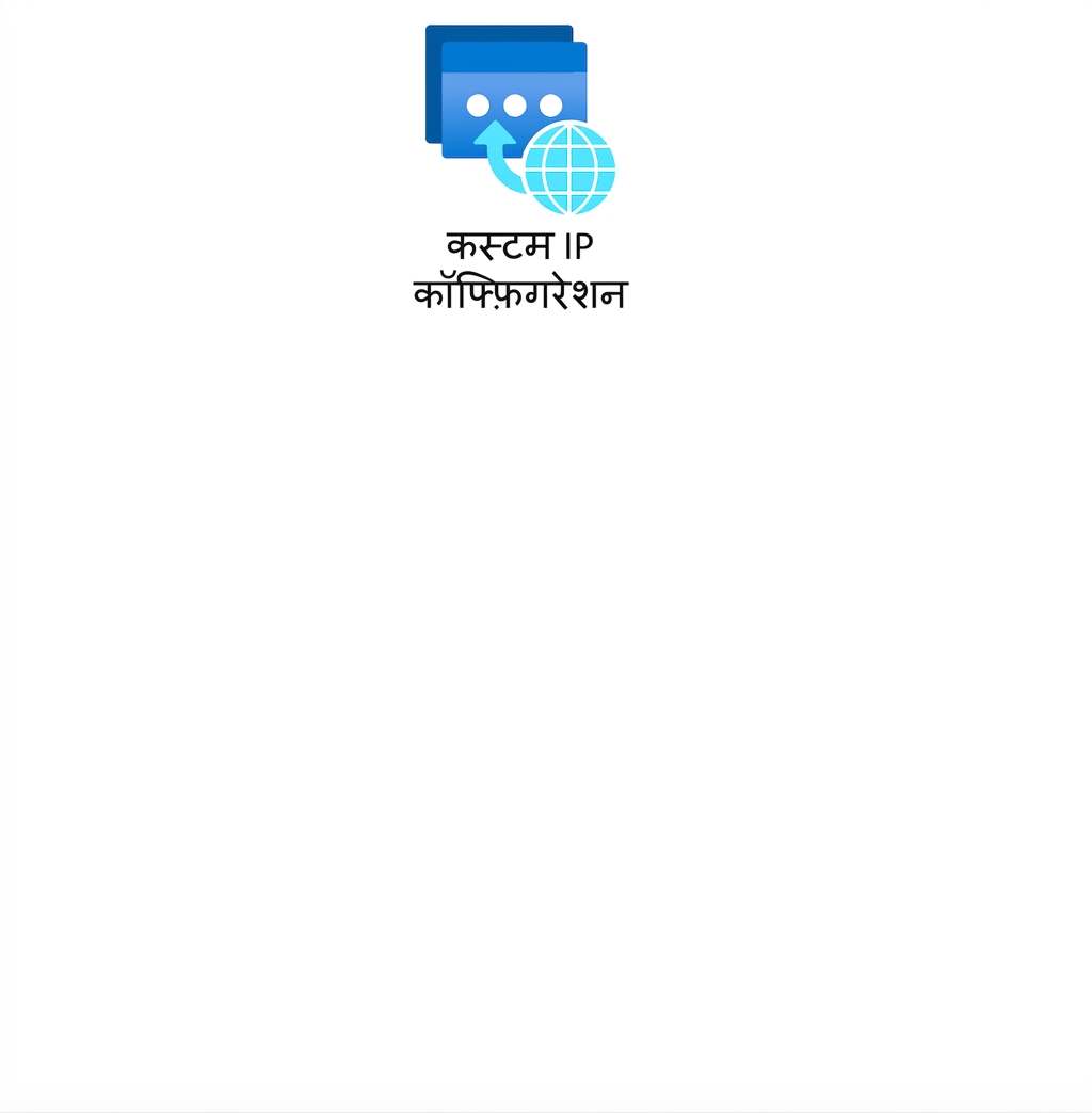कस्टम IP कॉन्फ़िगरेशन दिखाता एक आइकन.