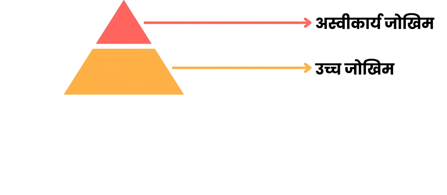 दो स्तर वाली जोखिम पिरामिड.png
