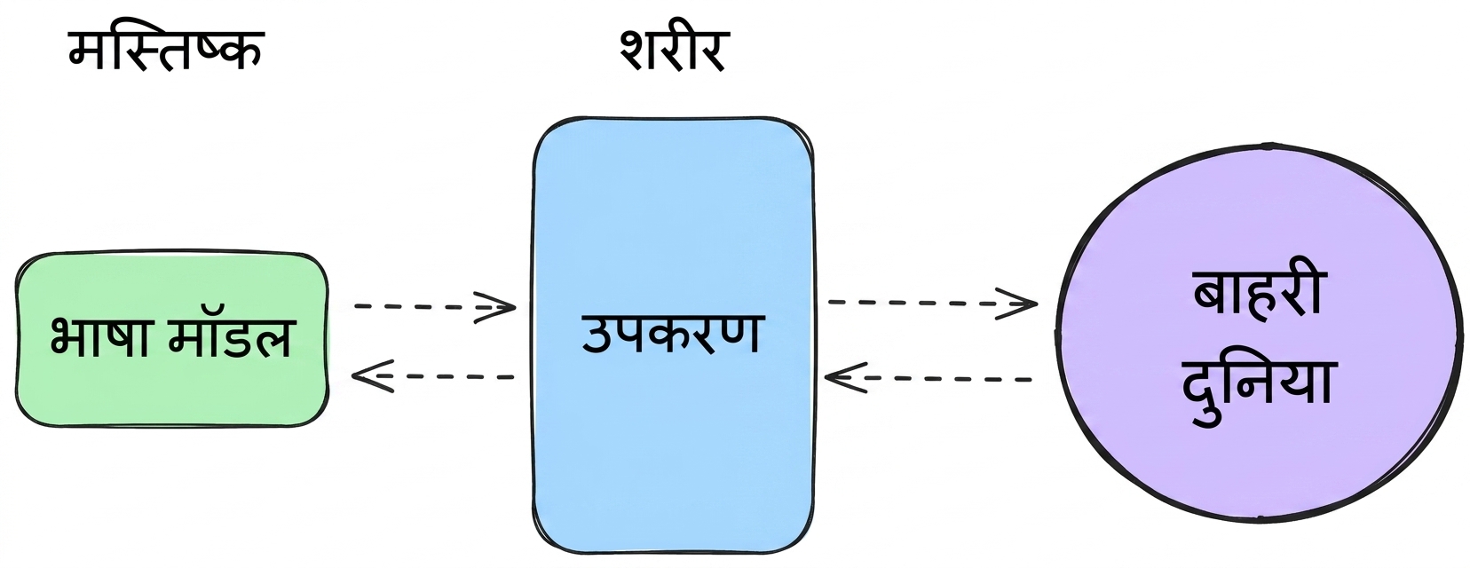 brain_body