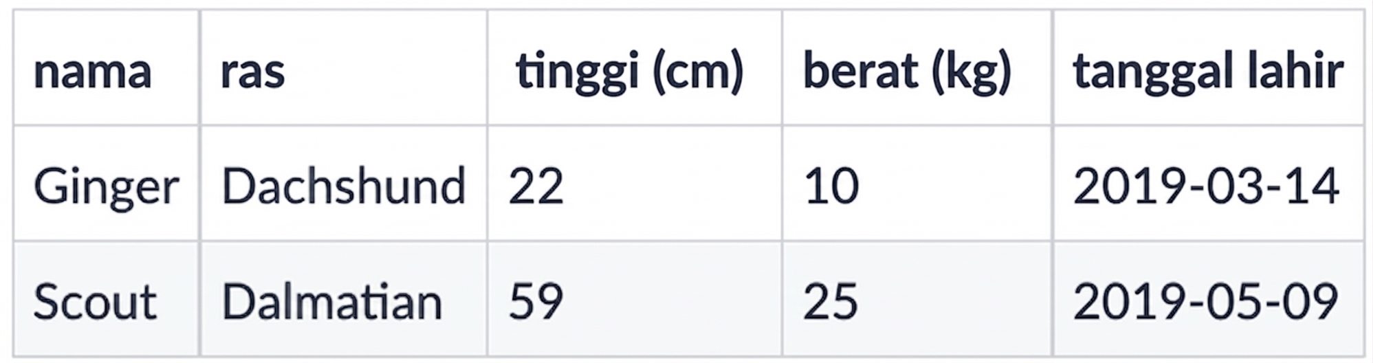 Kumpulan data yang berisi dua anjing baru