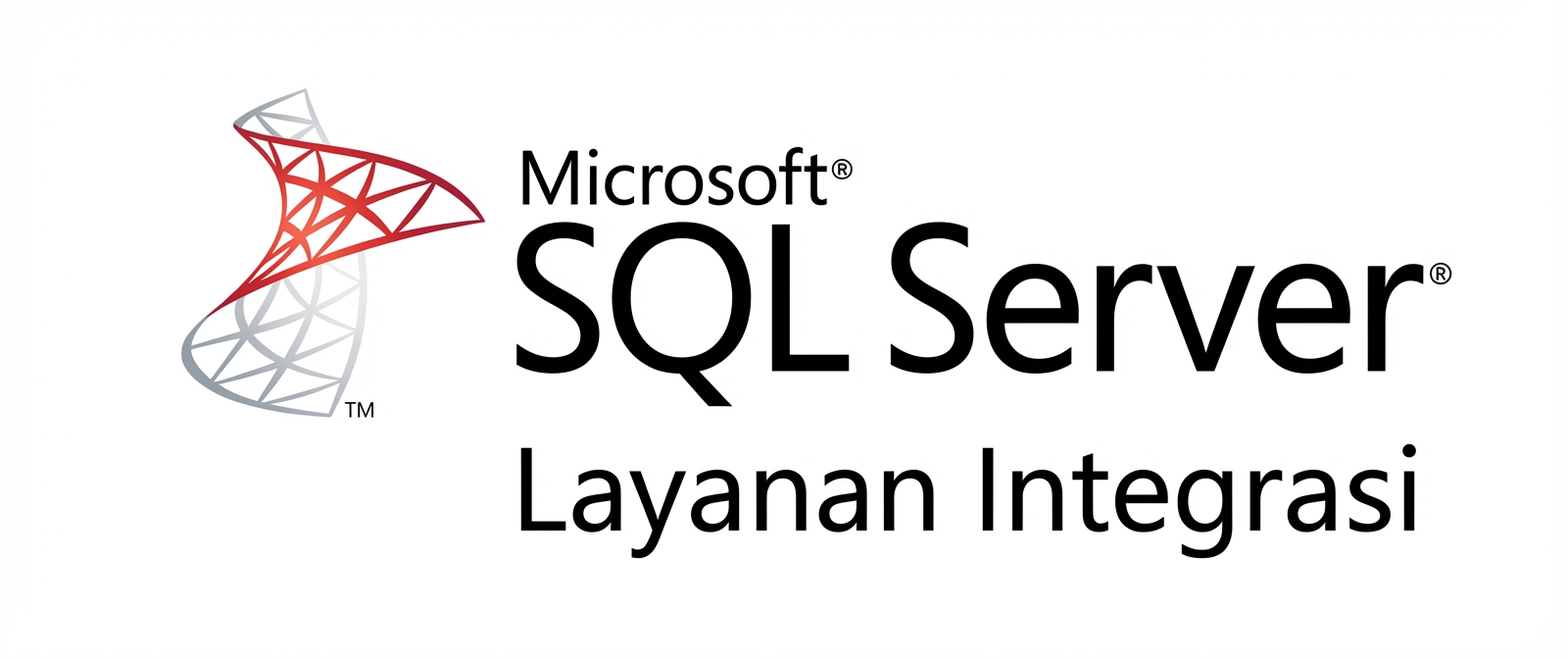 Logo SSIS