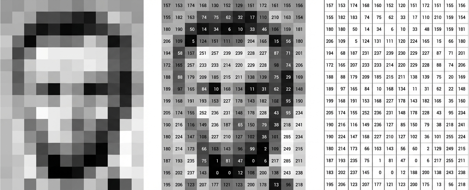 Matriks intensitas piksel gambar
