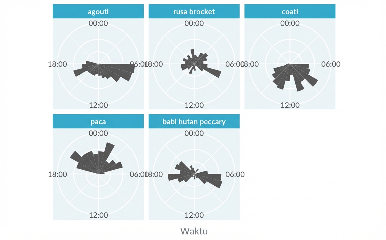 Rose plot aktivitas hewan per jam